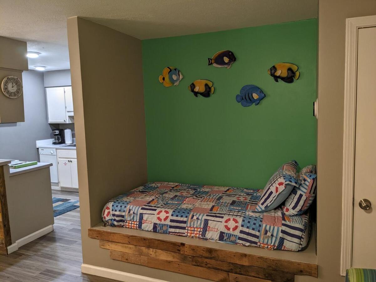 Rent From Me In Pcb Apartment *
